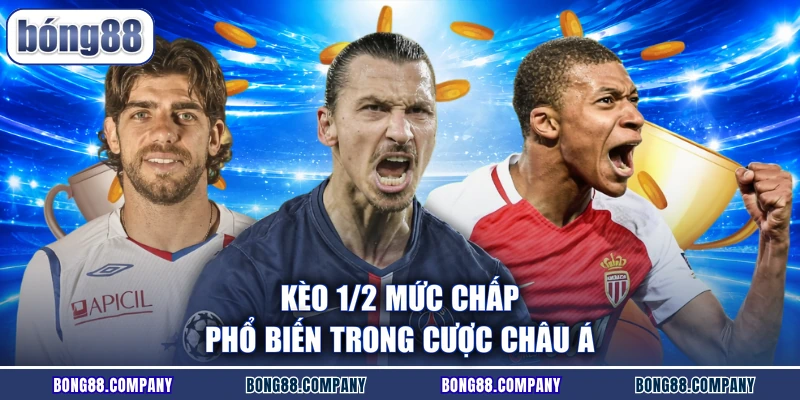 Kèo 1/2 Là Gì? Cách Đọc Tỷ Lệ Chuẩn Chỉnh Cùng BONG88